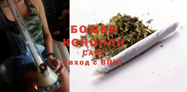 ГАЛЛЮЦИНОГЕННЫЕ ГРИБЫ Беломорск