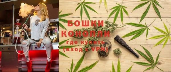 дживик Балахна