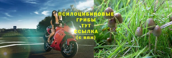 тгк Белоозёрский