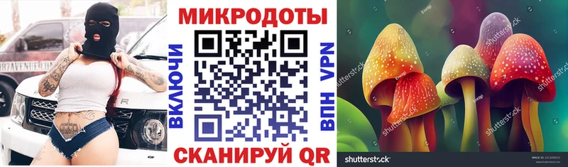 закладки Жуковка Псилоцибиновые грибы мицелий